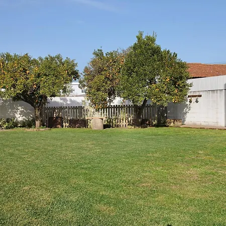 Casa Davo בית נופש לייריה